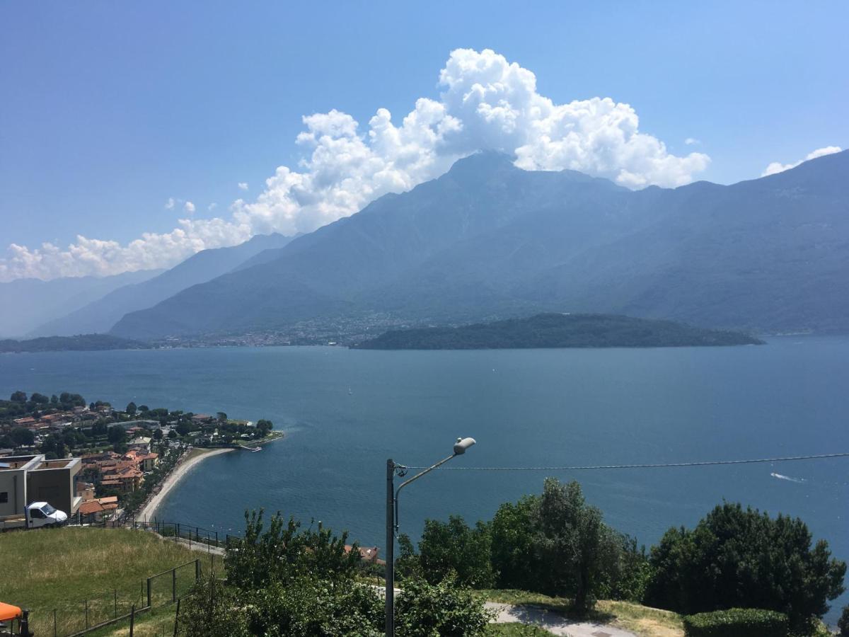 Panoramic View