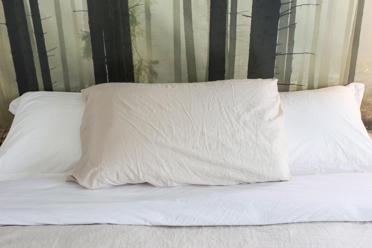 Bed & Breakfast Aqua&co - Eco Conscious *
