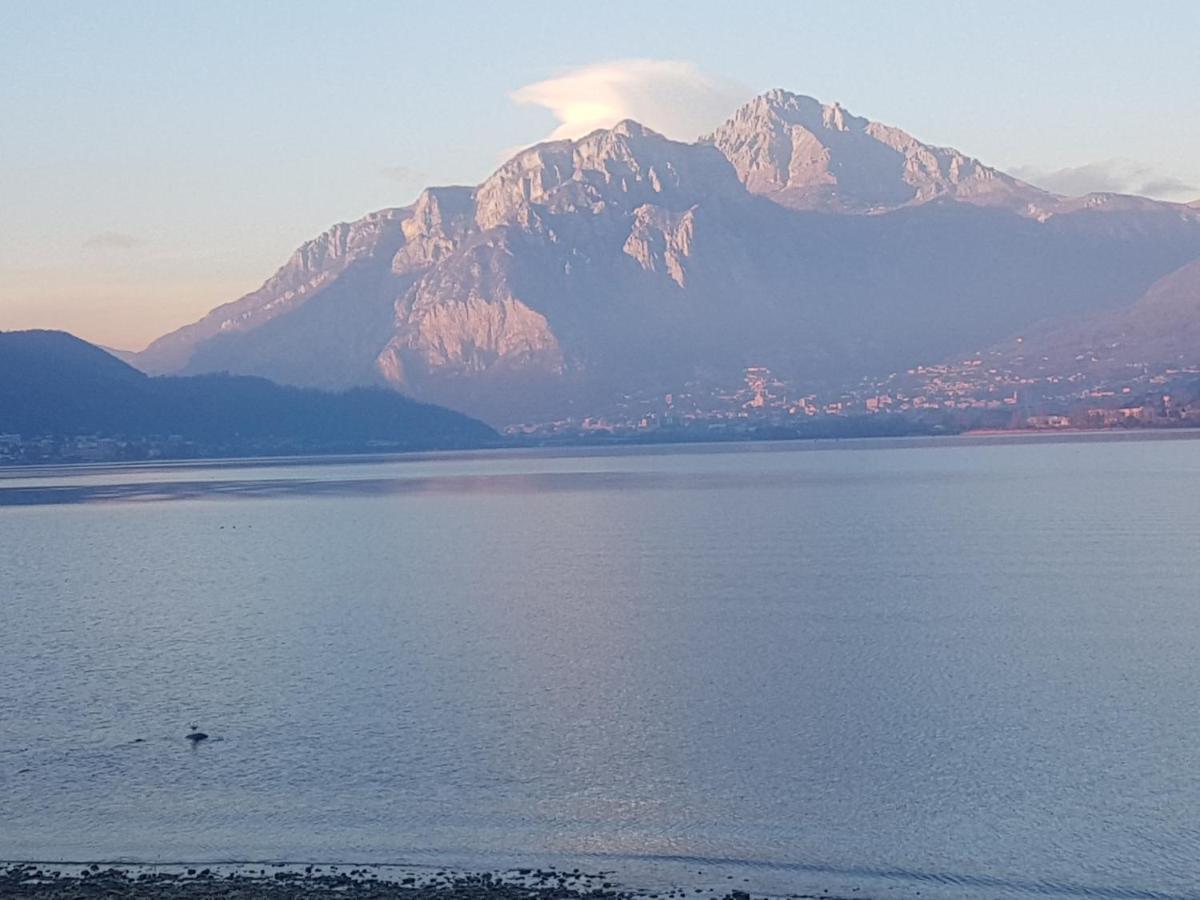 Ai Due Vecchi Ulivi Garlate