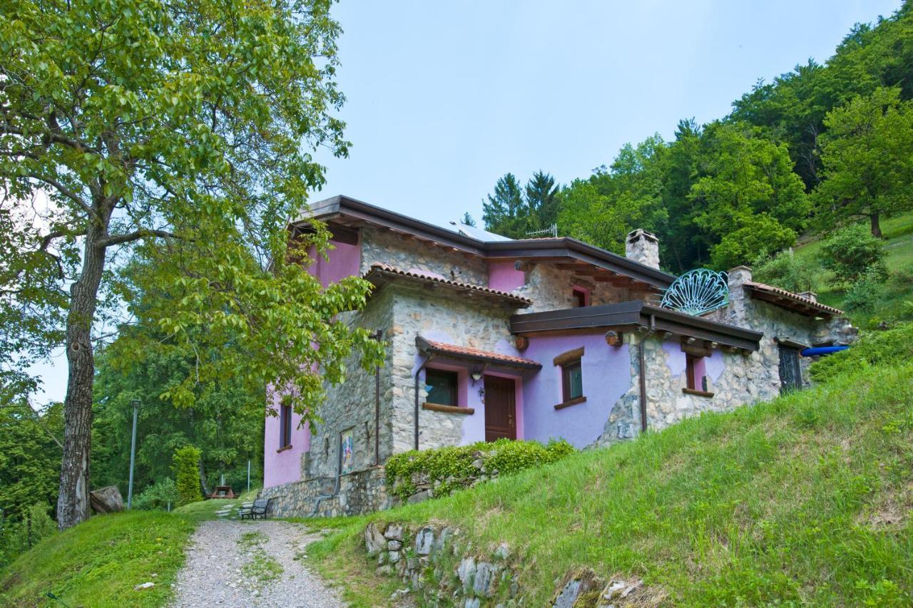 Farm stay Al Marnich *