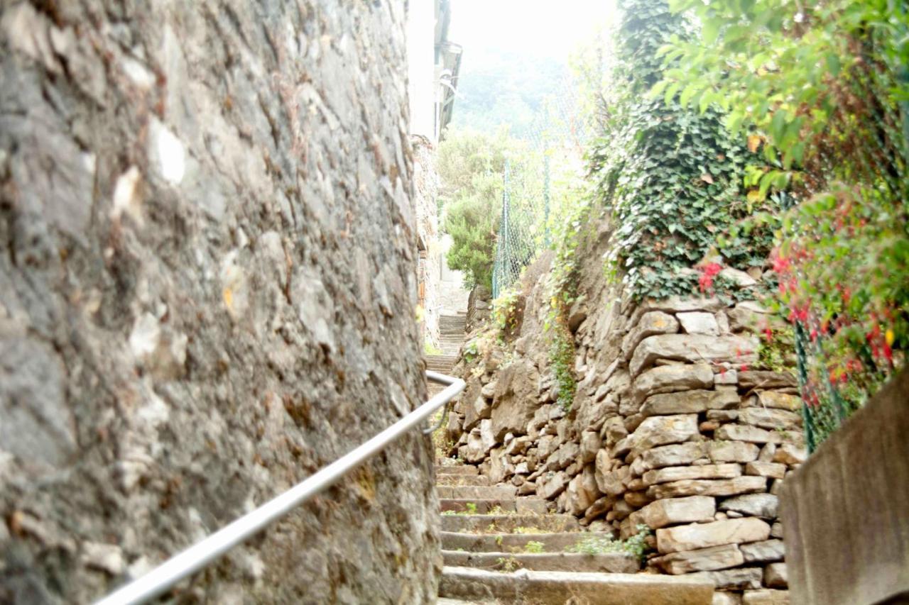 Diffuso Ca' Spiga *