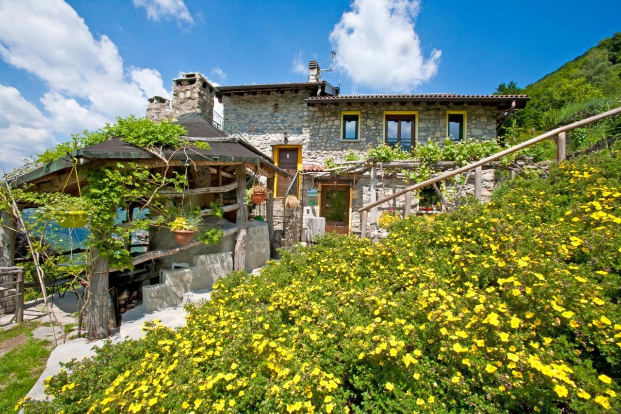 Farm stay Al Marnich