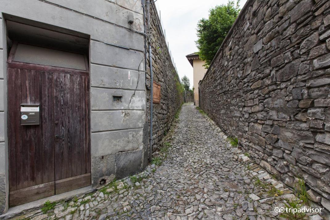 Le Ortensie * Faggeto Lario