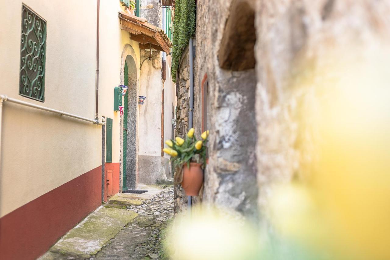 Diffuso Ca' Spiga Bed & Breakfast *