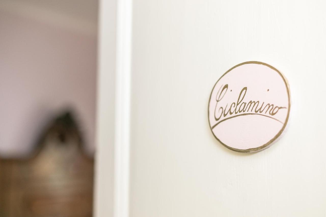 Diffuso Ca' Spiga Bed & Breakfast Laglio