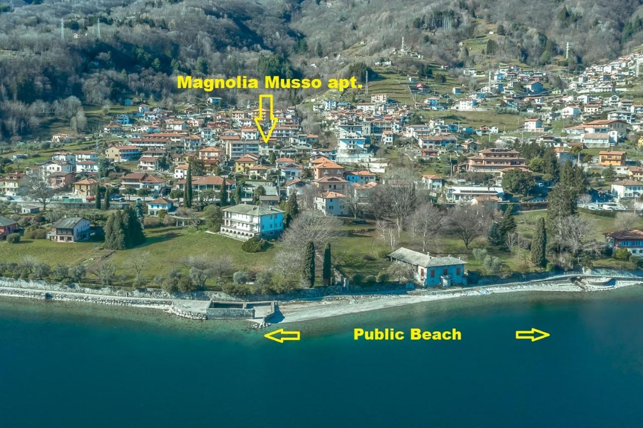 Magnolia B - Apartment *