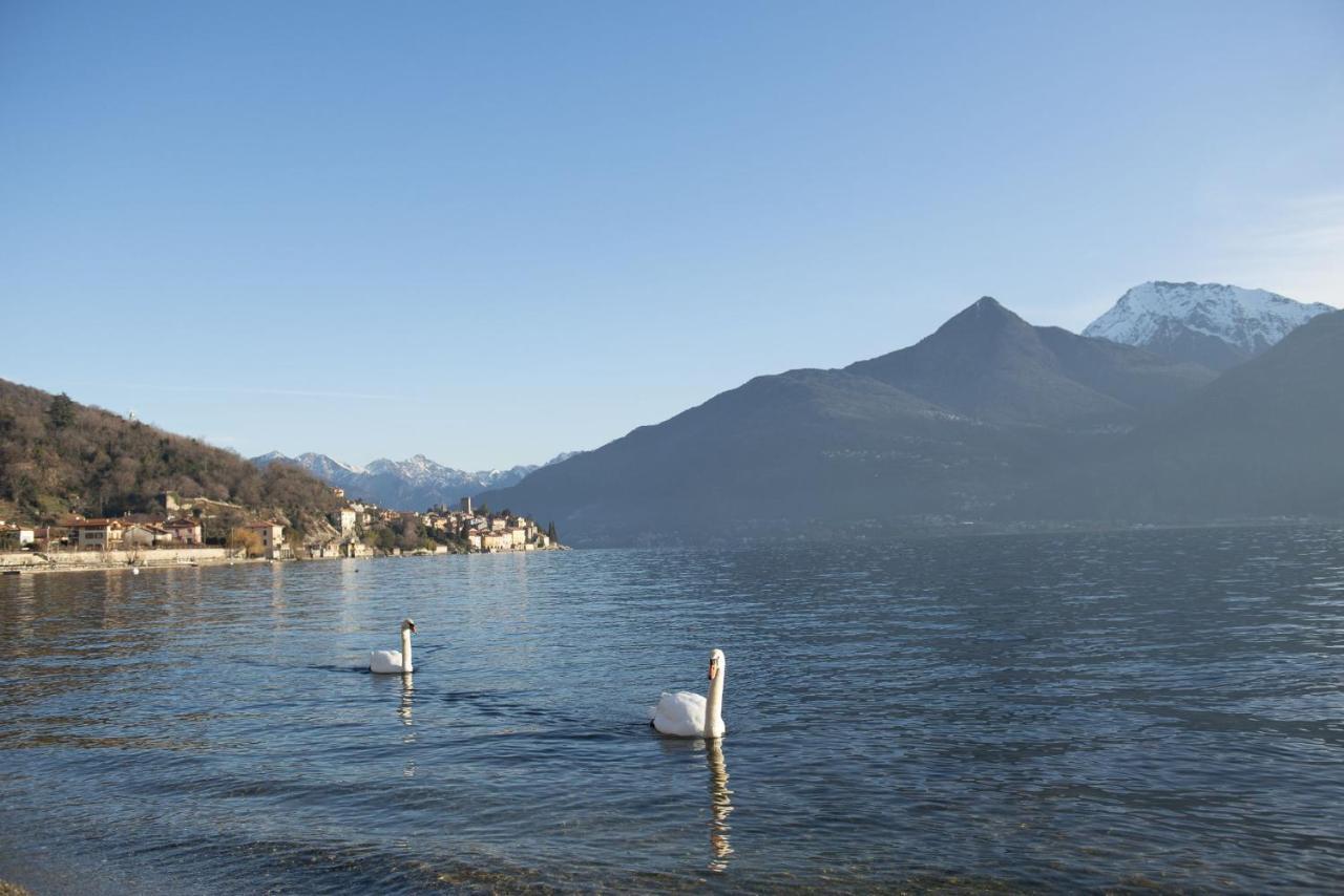 Al Castello I Direkte Seefront I Pool I 12 Gaeste I 4sz - 4 Baeder Ferienhaus Rezzonico