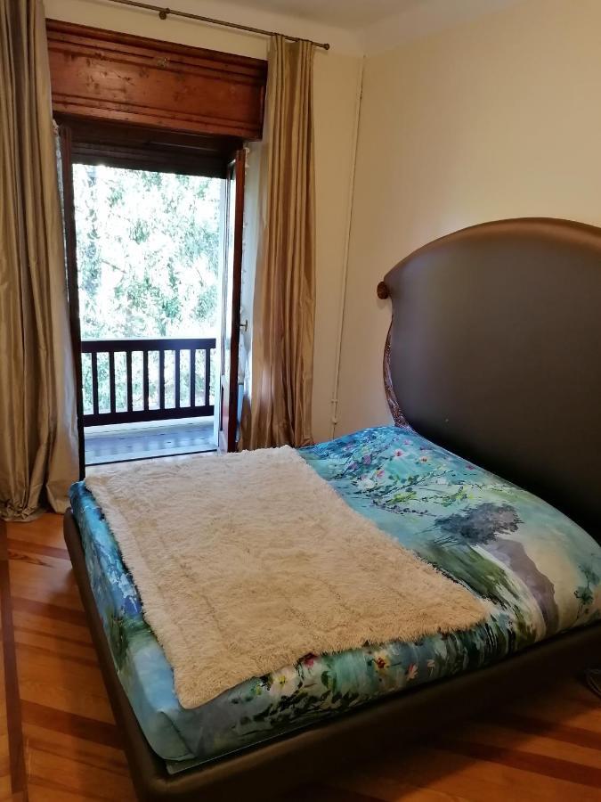 Lodge Luxury Cornelia *