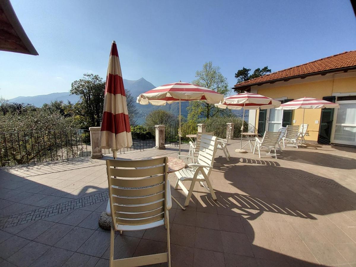 L'ulivo 4*