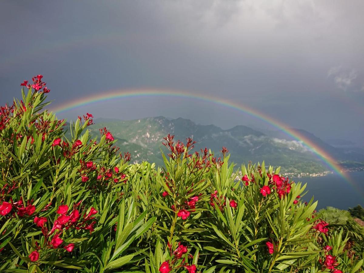 Primula Appartamento *