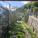 Casa Delle Olive 1