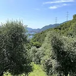 La Dimora Degli Olivi