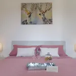 B&B Il Tulipano
