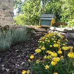 Casa 1000Fiori
