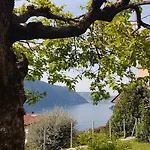 Flora