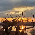 Il Sole Nel Lago