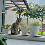 B&B La Dolce Casa