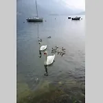 Appartamento Vista Lago - Betta