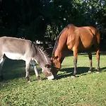 B&B Agrifarm