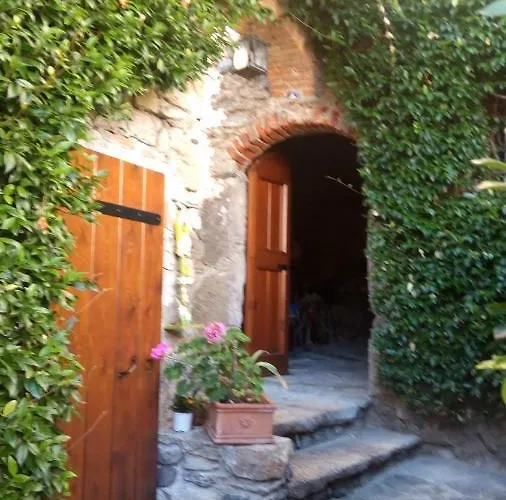 Prima Del Bosco