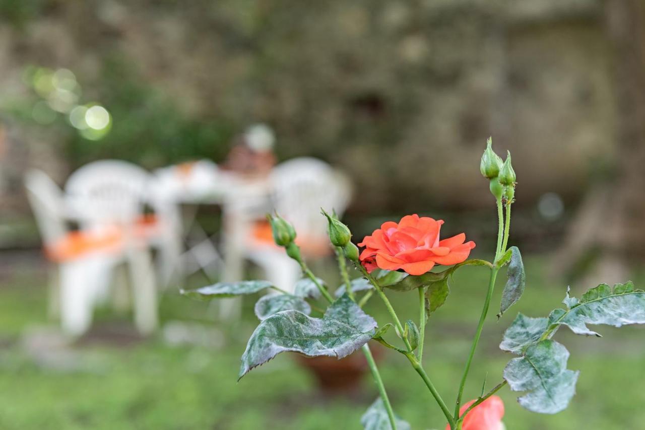 Rosalinda *
