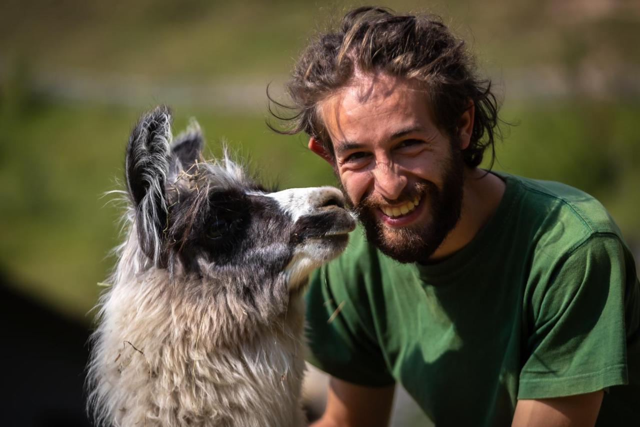 Alloggio per agriturismo Le Radici *