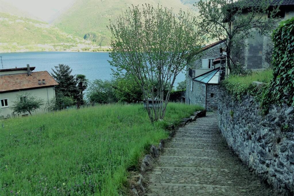 Apartment Il Girasole Di
