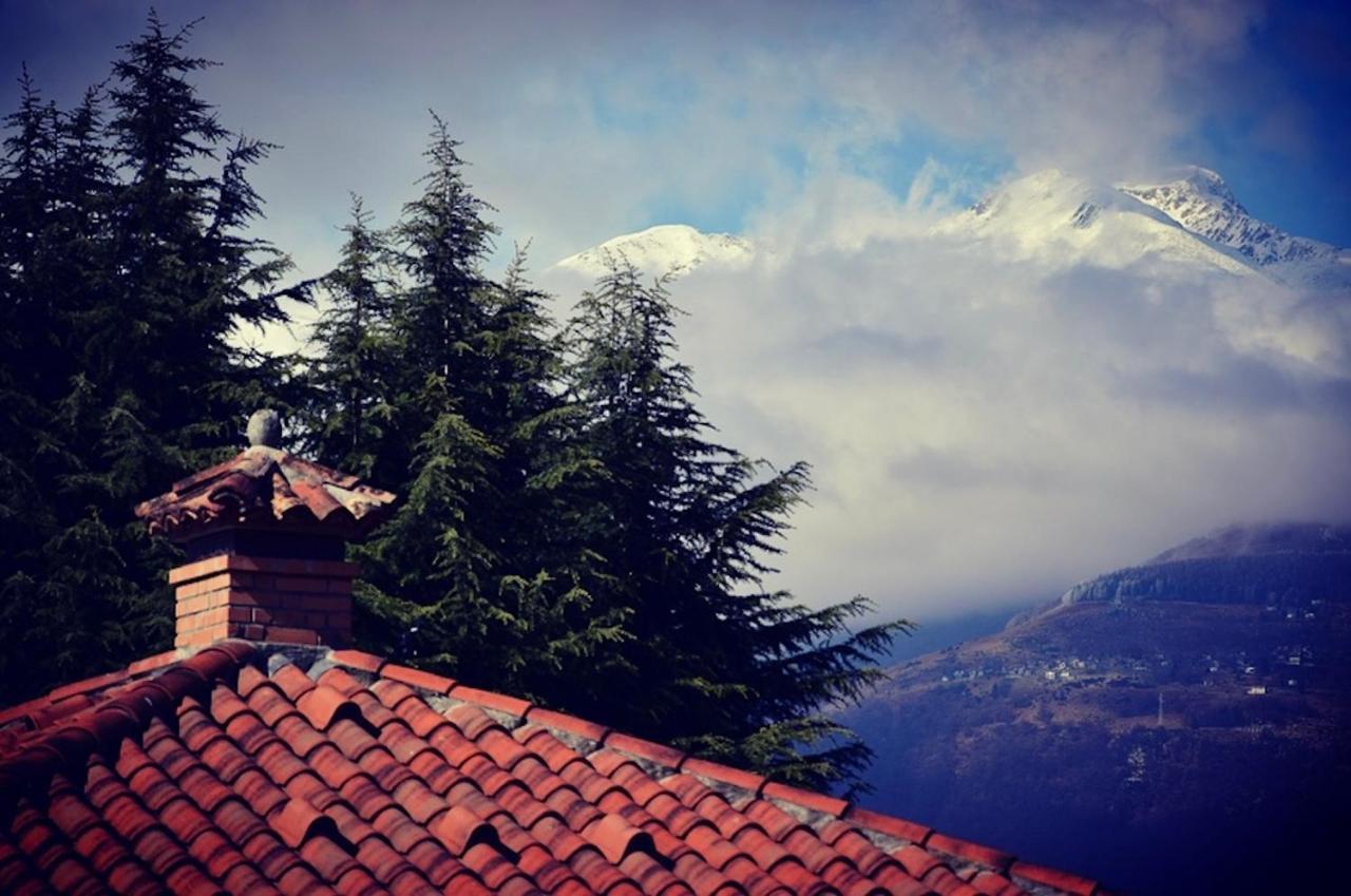 Villa Casa Amalia - Molino Maufet Muhle - Lake View Loft Colico