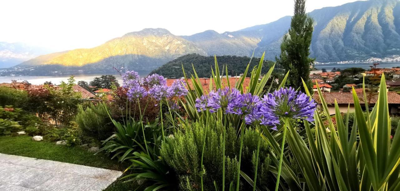 Appartamento Magic Garden Como-pool-jacuzzi&amazing View Lenno