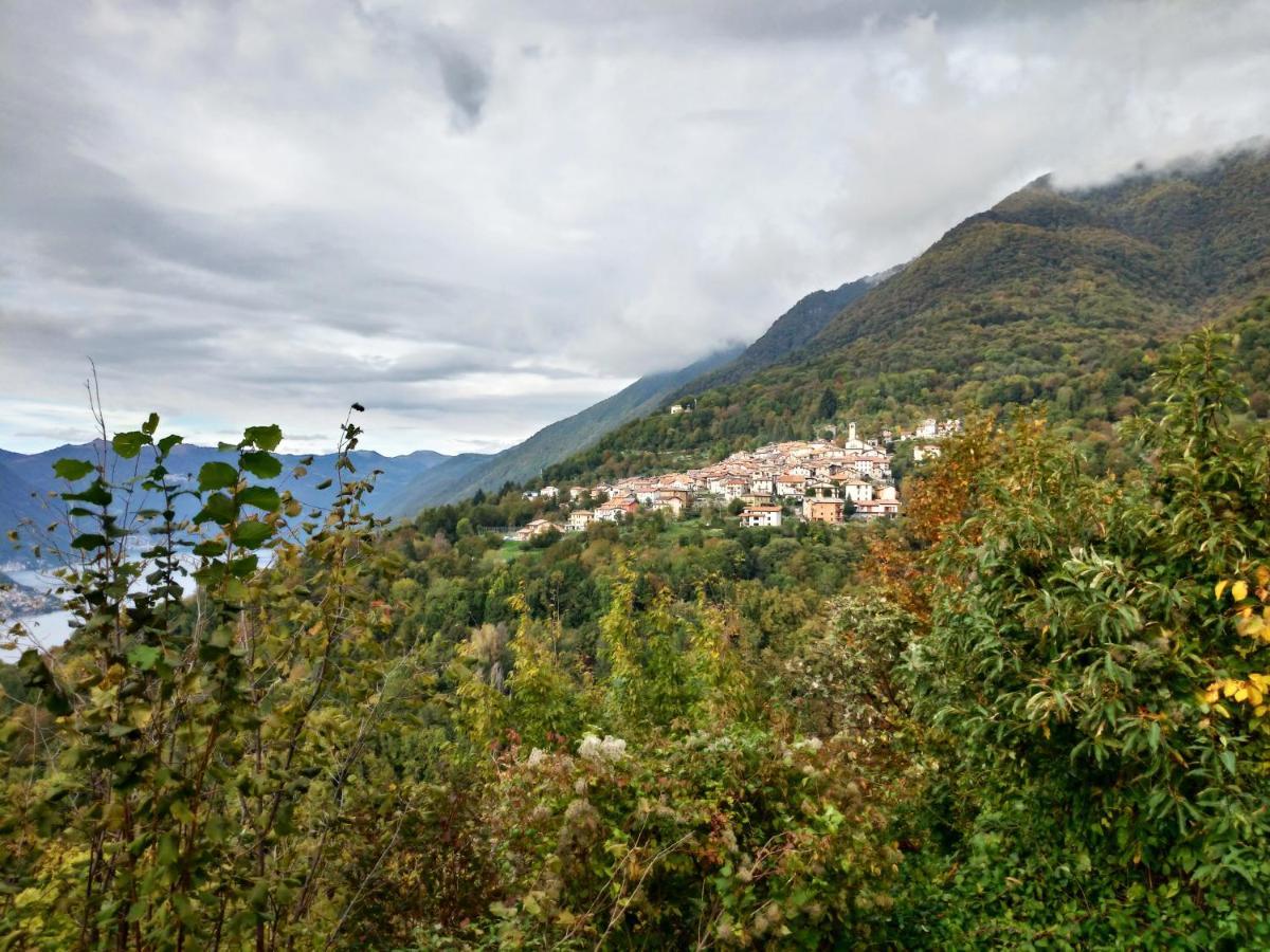 Ca Bossa Lemna * Faggeto Lario