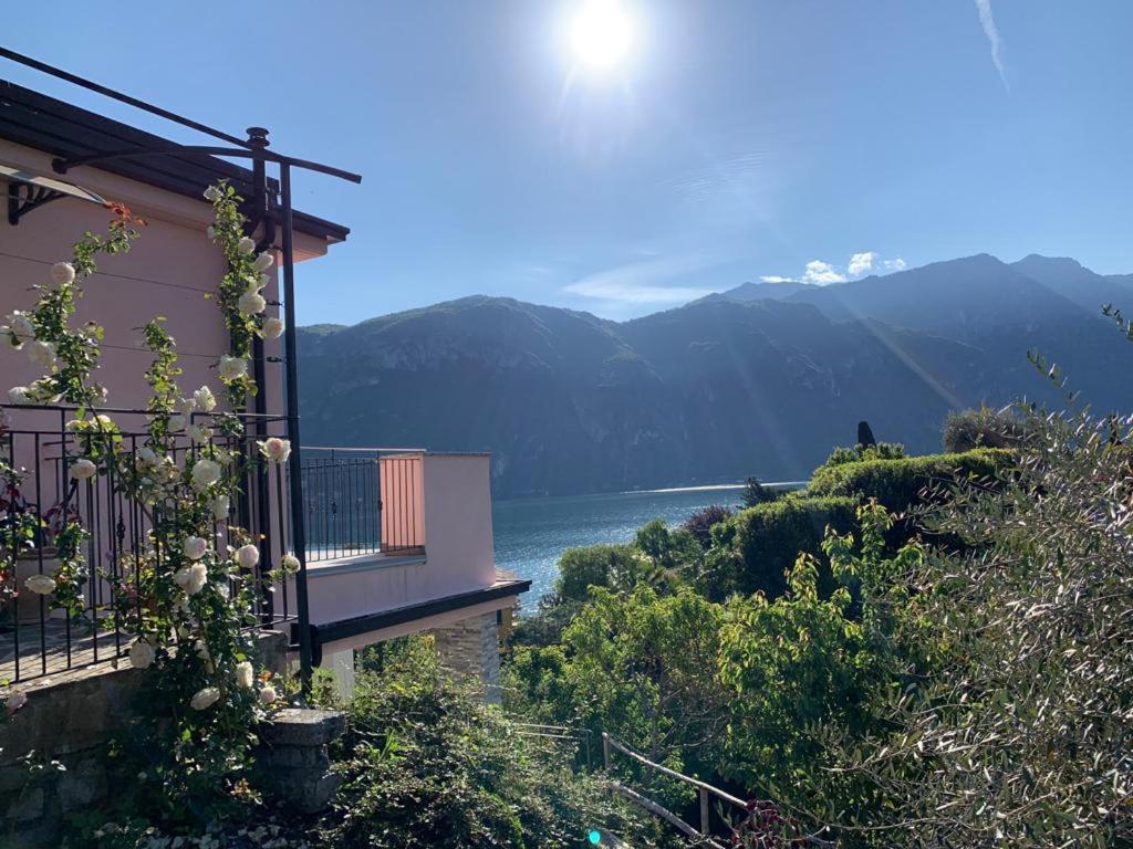 Appartamento Angelina's House With View - *
