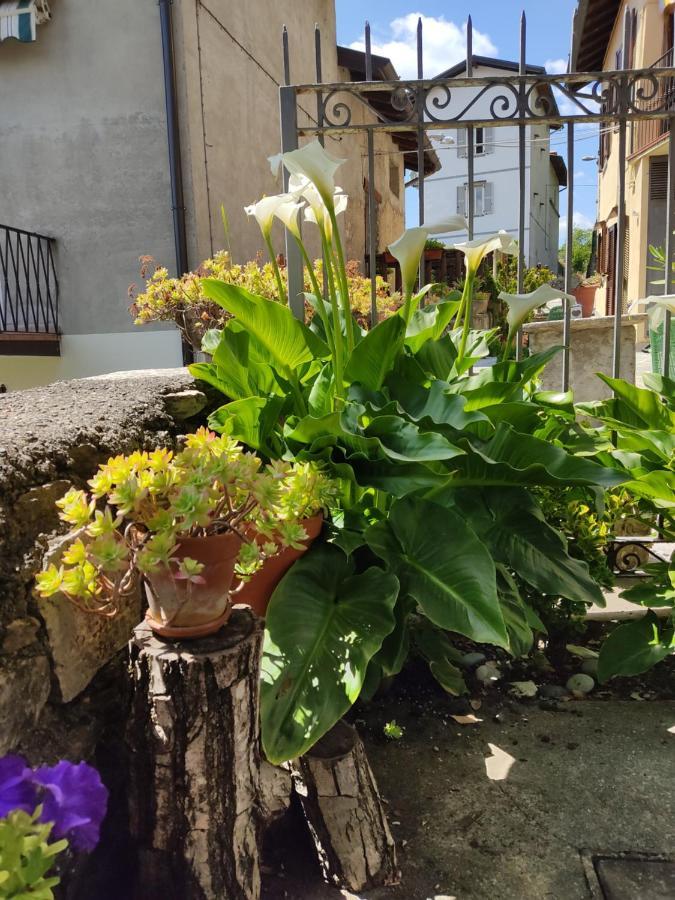 Casa All'era Cernobbio