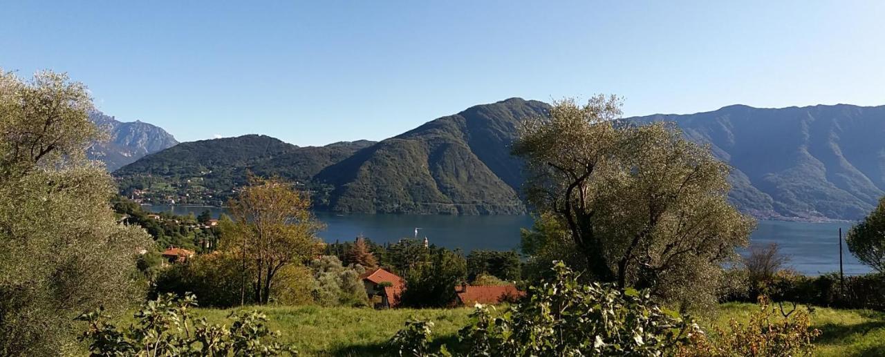 Casa Intignano - Con Terrazzo Vista *