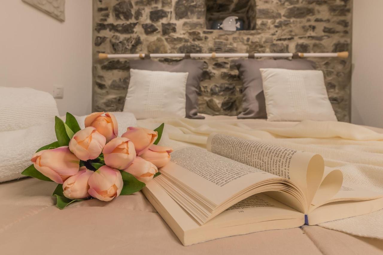 Casa Camelia *
