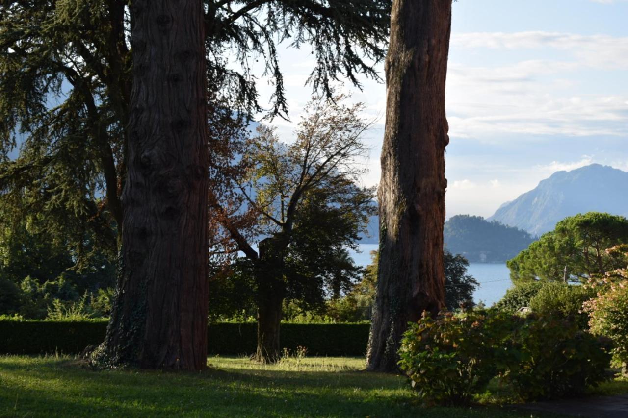 Landscapesilvia Pt Terra * Menaggio