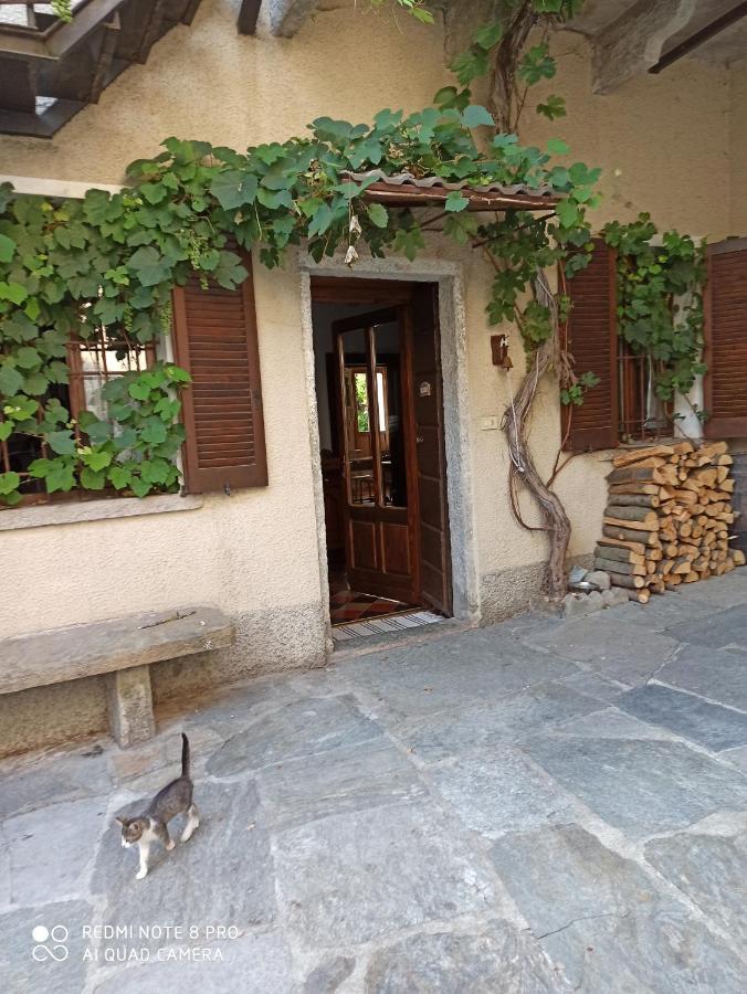 Casa Olmi Dependance Apartment