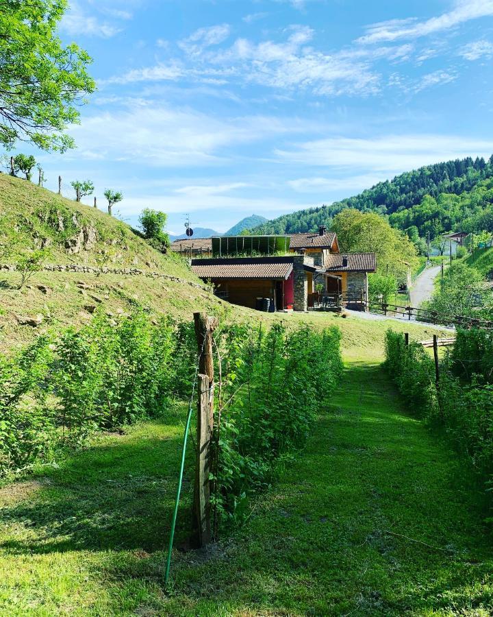 Agriturismo Il Talento Nella Quiete Farm stay