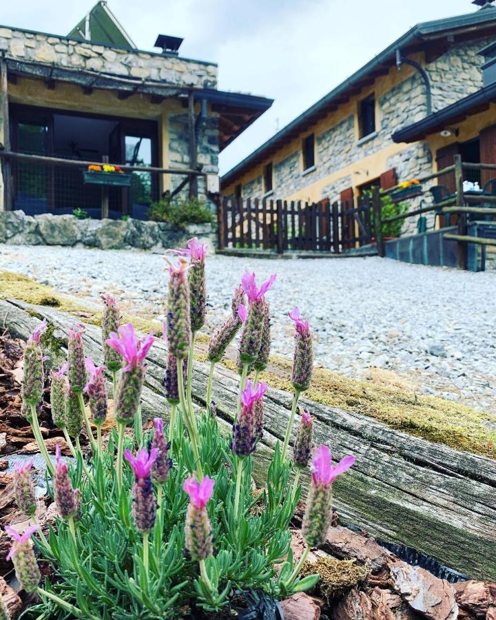 Agriturismo Il Talento Nella Quiete Farm stay Castiglione d'Intelvi