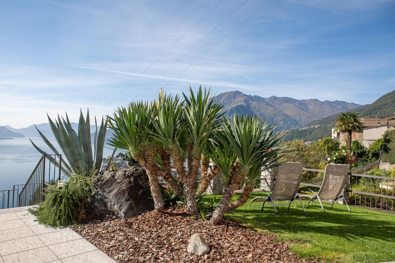 Cafelicita - Promotion - View - Infinity Pool - Jacuzzi