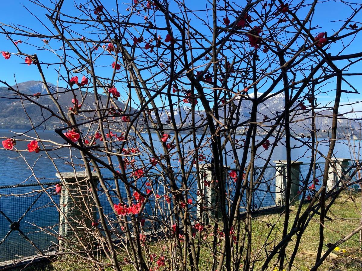La Casetta *