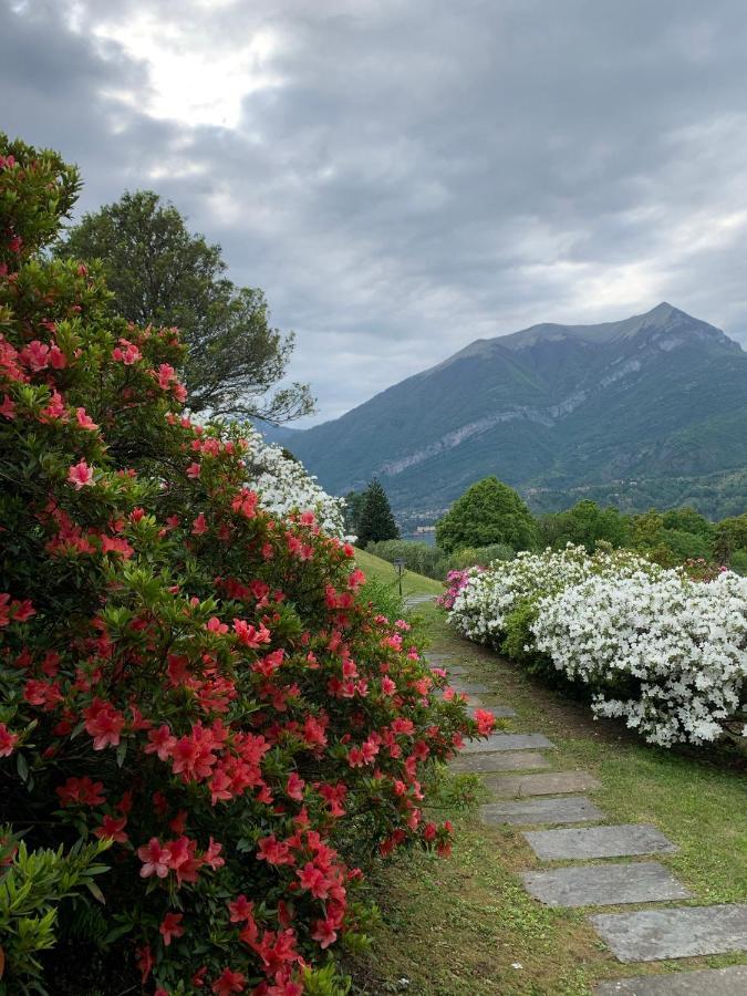 Il Poggio Di Bellagio