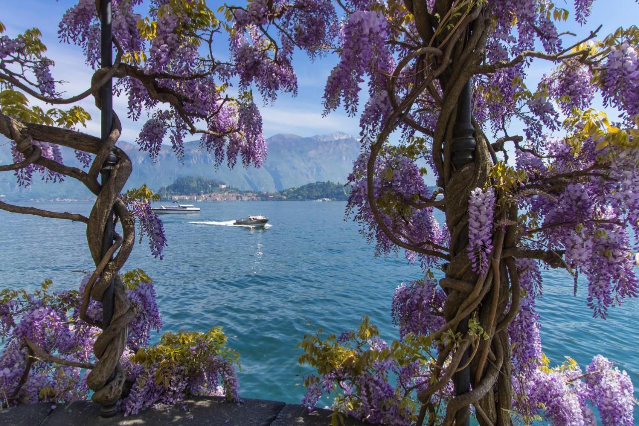 Bellavista Del