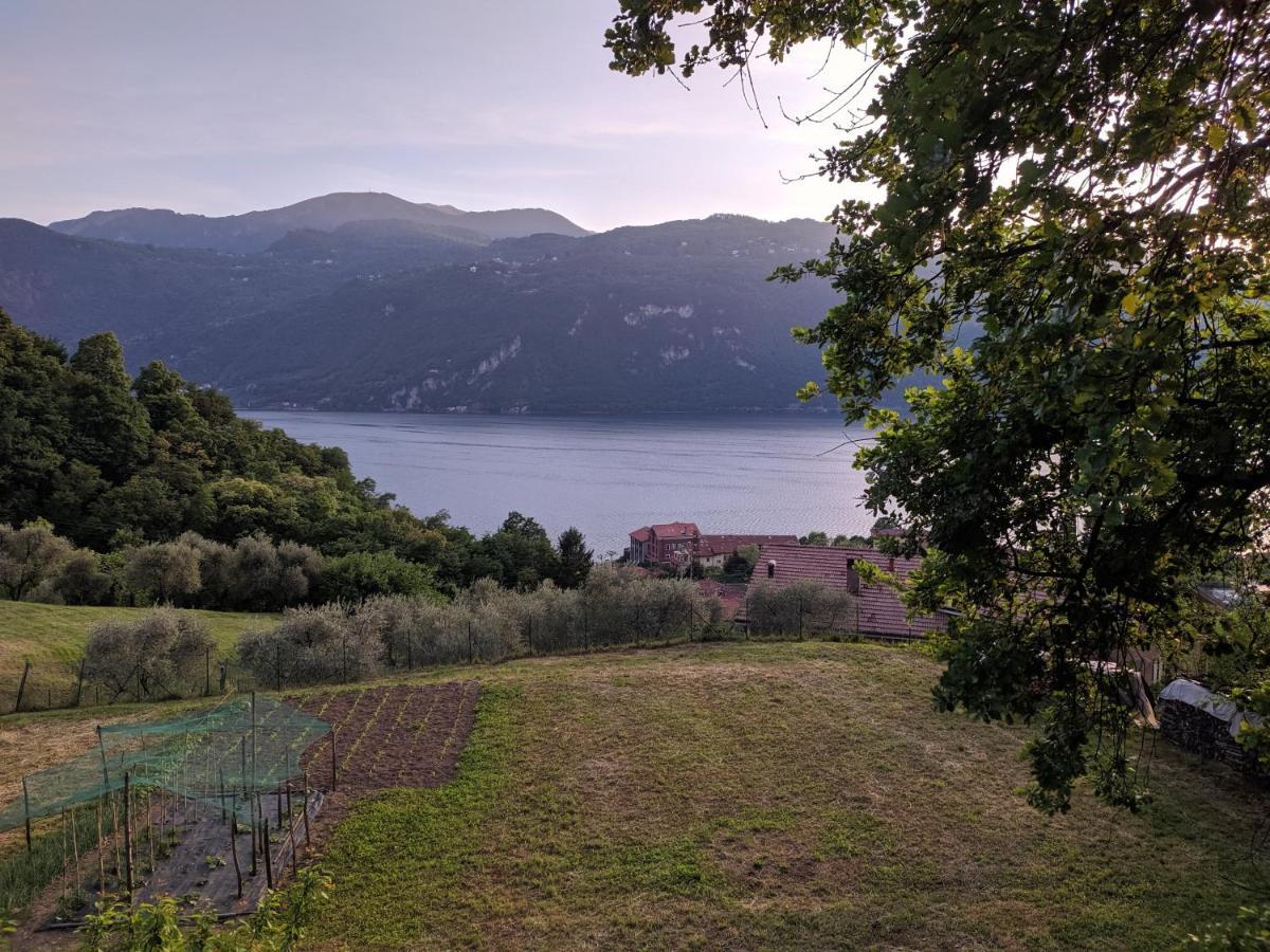 La Casetta Nel Bosco - Hot Tube And Sauna *