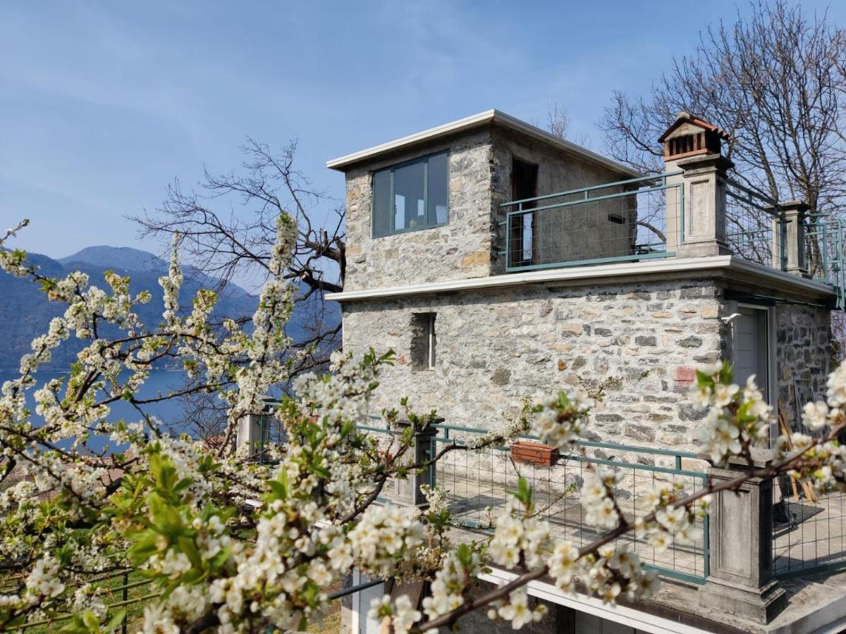 Holiday home La Casetta Nel Bosco - Hot Tube And Sauna