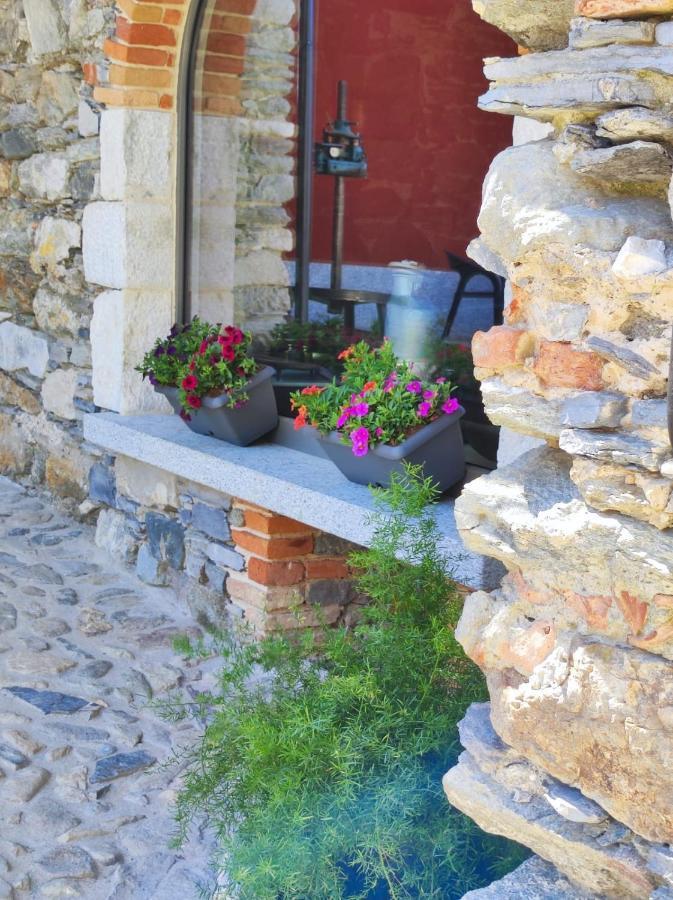 Farm stay Il Medeghino Musso