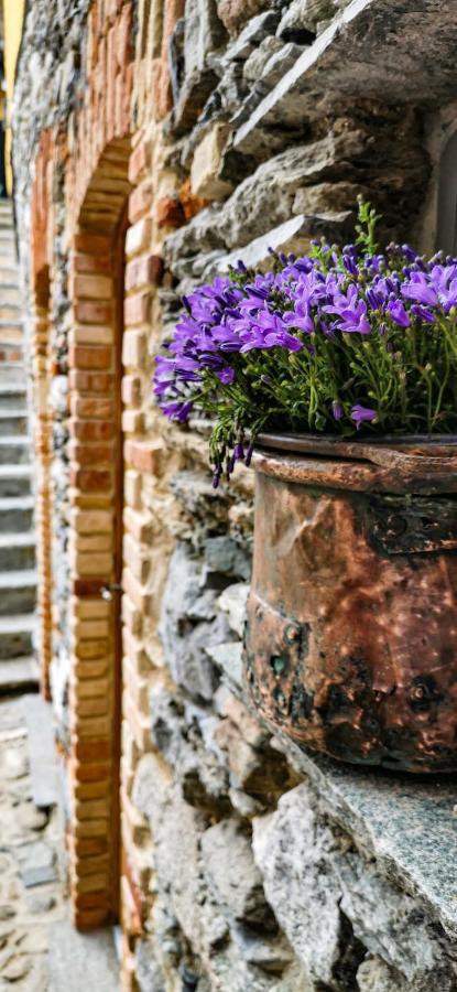 Il Medeghino Farm stay Musso