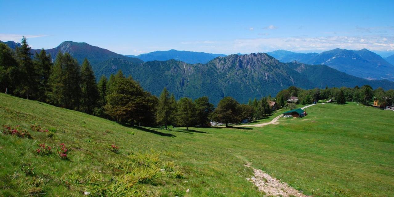 Stella Alpina Comune Di Bellagio Magreglio