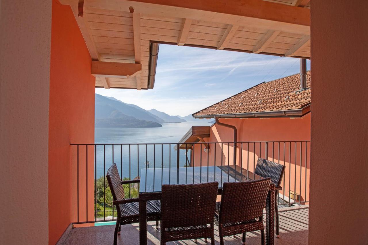 Cafelicita - Promotion - View - Infinity Pool - Jacuzzi 3*