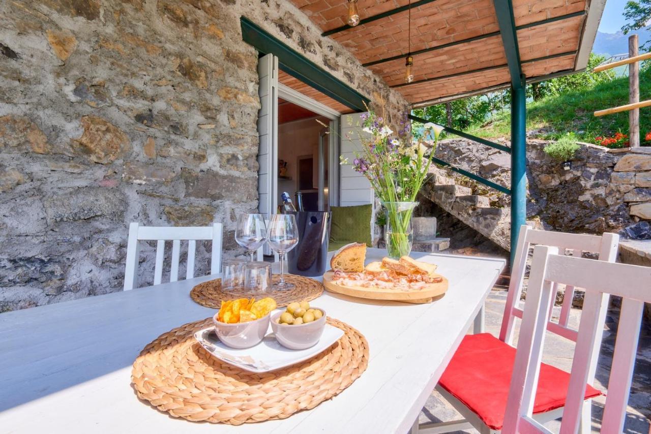 Holiday home La Casetta Nel Bosco - Hot Tube And Sauna