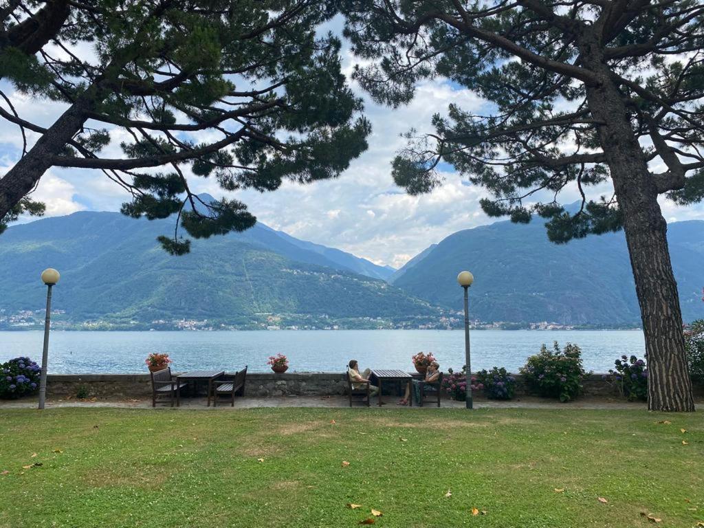View Cremia
